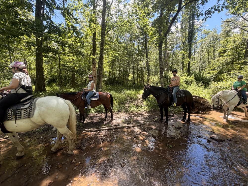 First Time on Horseback